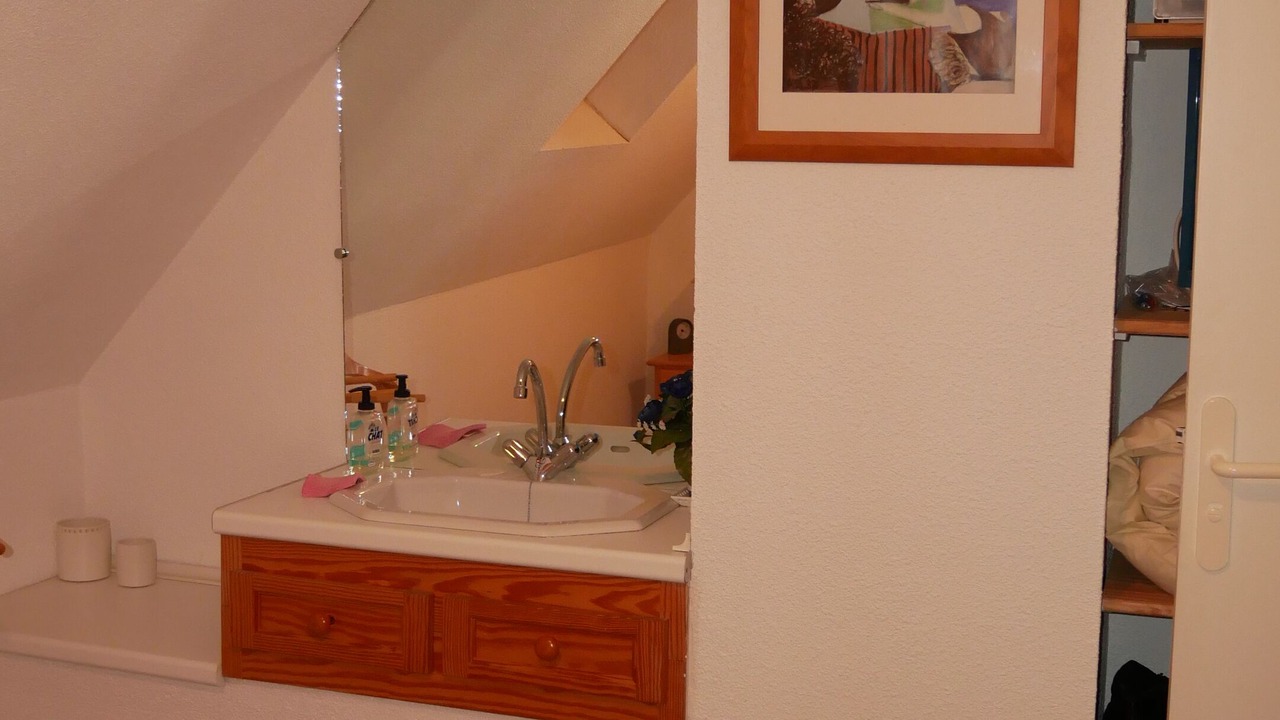 Photo of Bathroom in Gabas