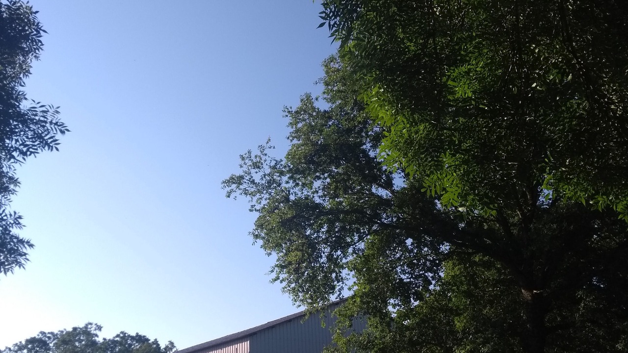 Photo of Outdoor in Hautefage