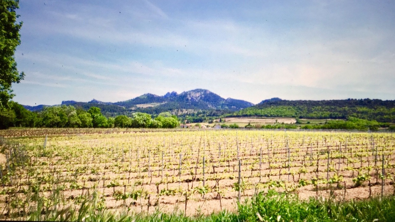 Photo of Outdoor in Vacqueyras