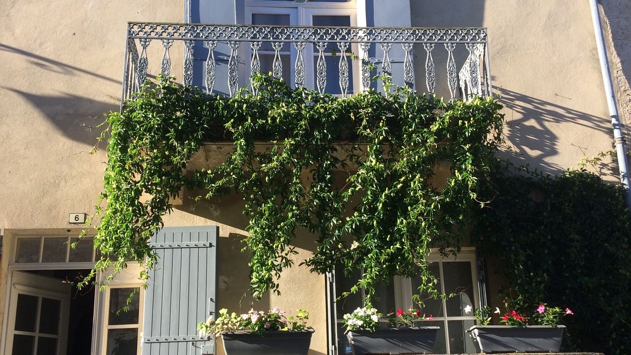 Photo of Outdoor in Monpazier