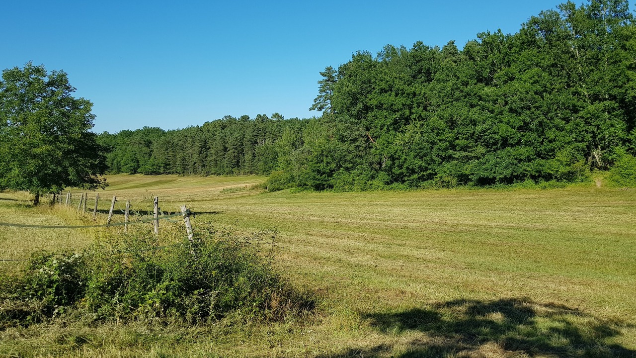 Photo of Others in Fossemagne