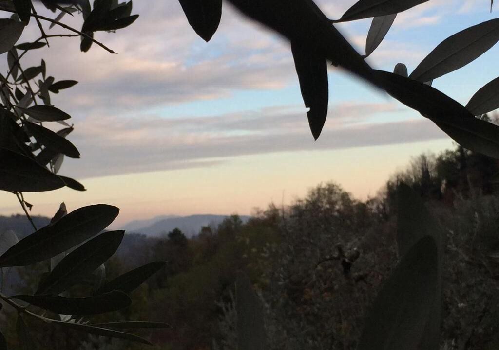 Photo of Outdoor in Macchino