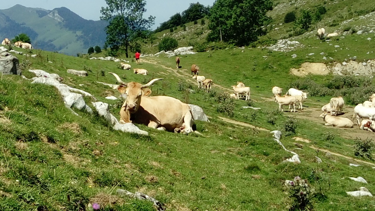 Photo of Outdoor in Aste-Beon