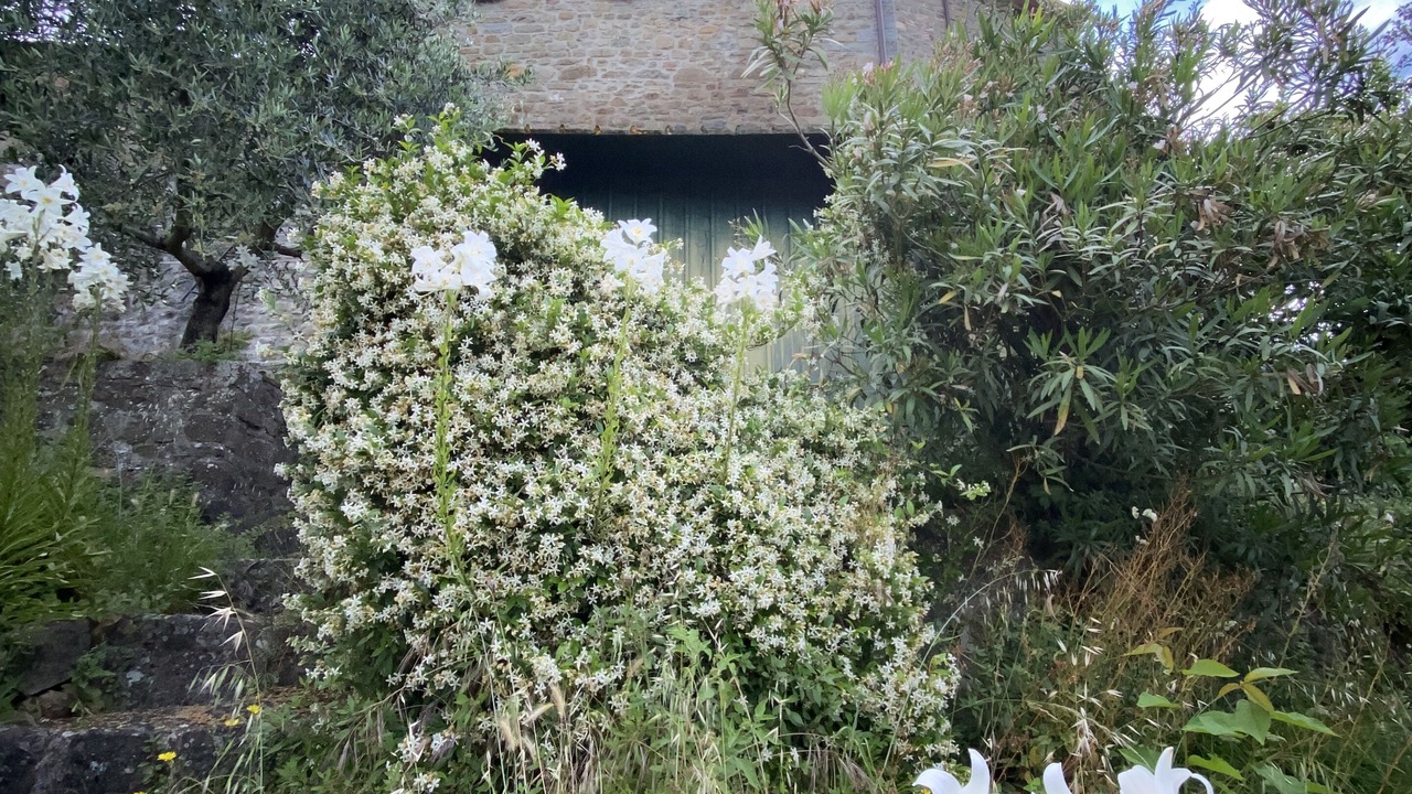 Photo of Outdoor in Aramo
