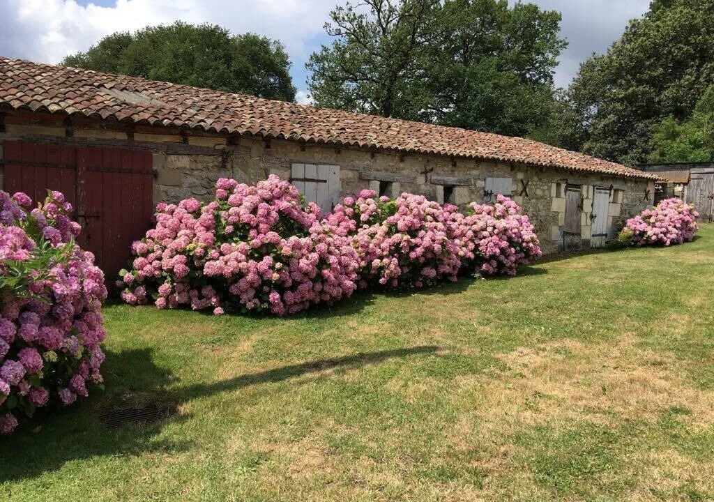 Photo of Outdoor in Dienne