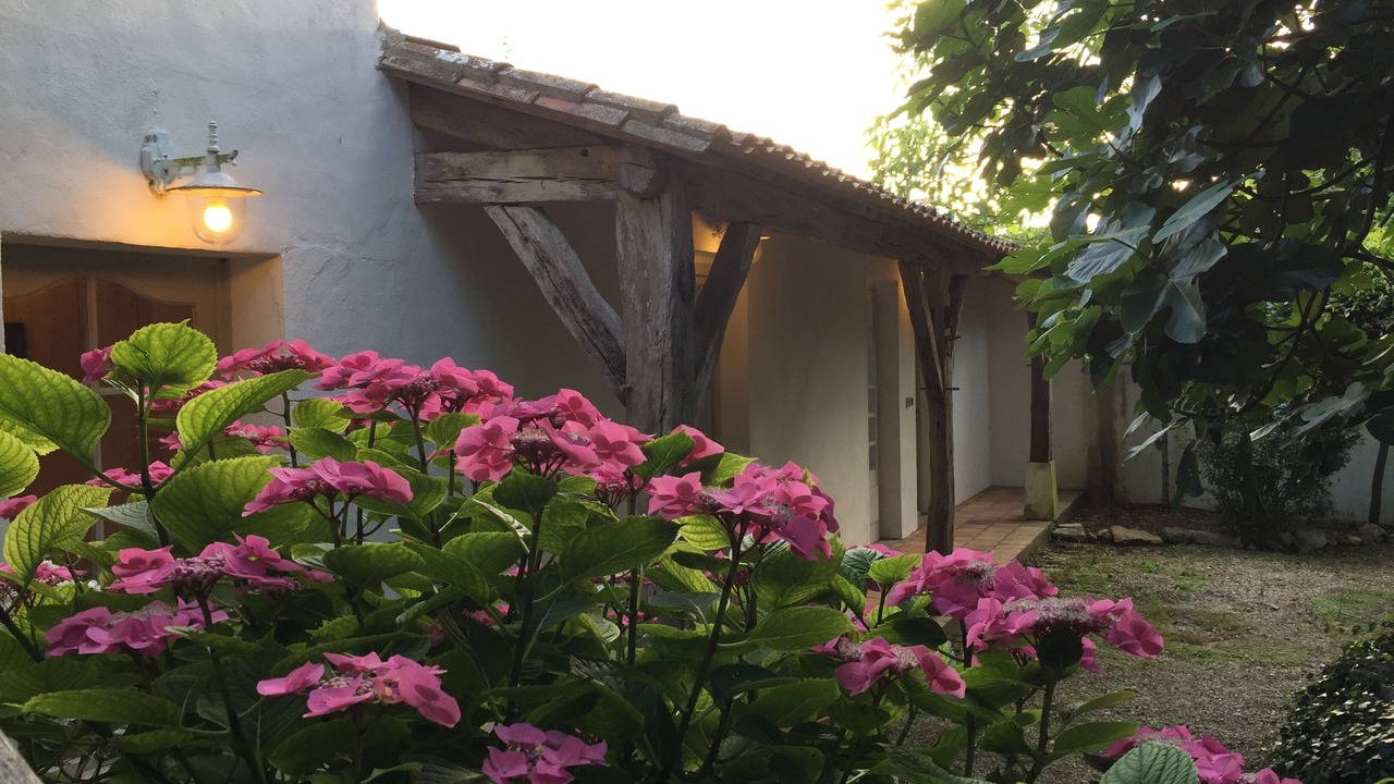 Photo of Outdoor in Loix
