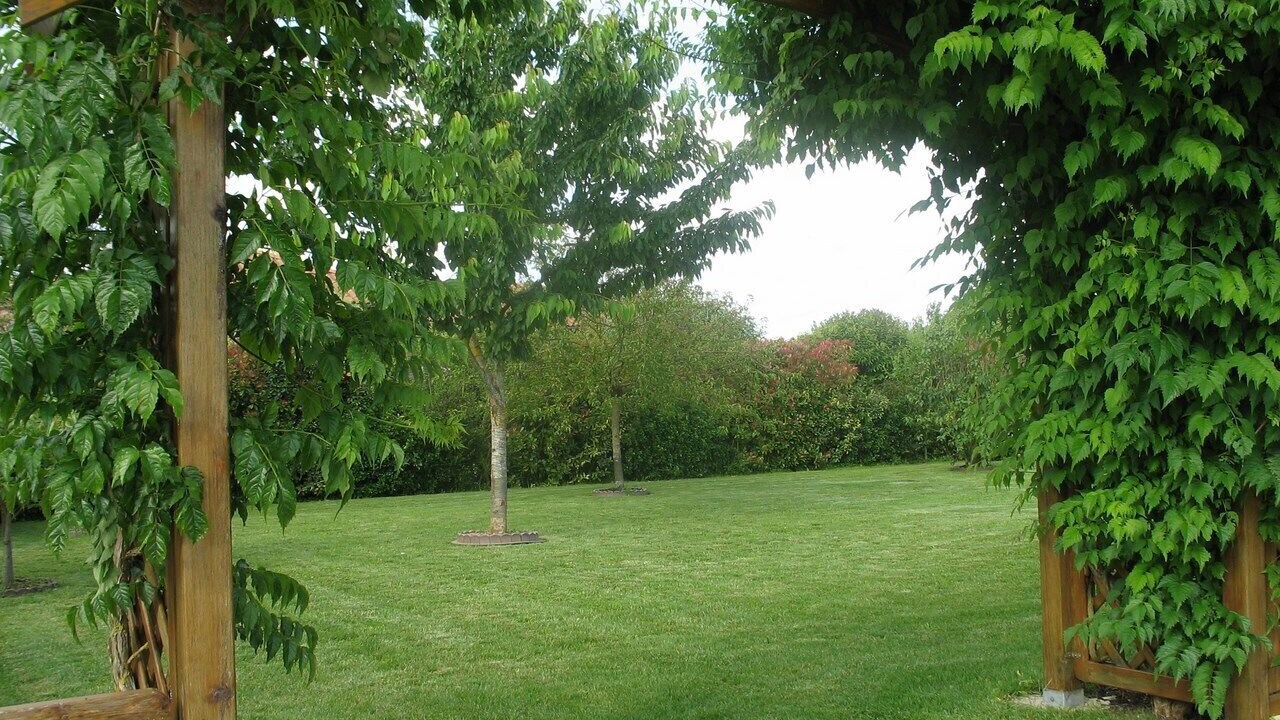 Photo of Outdoor in Saint-Georges-les-Baillargeaux