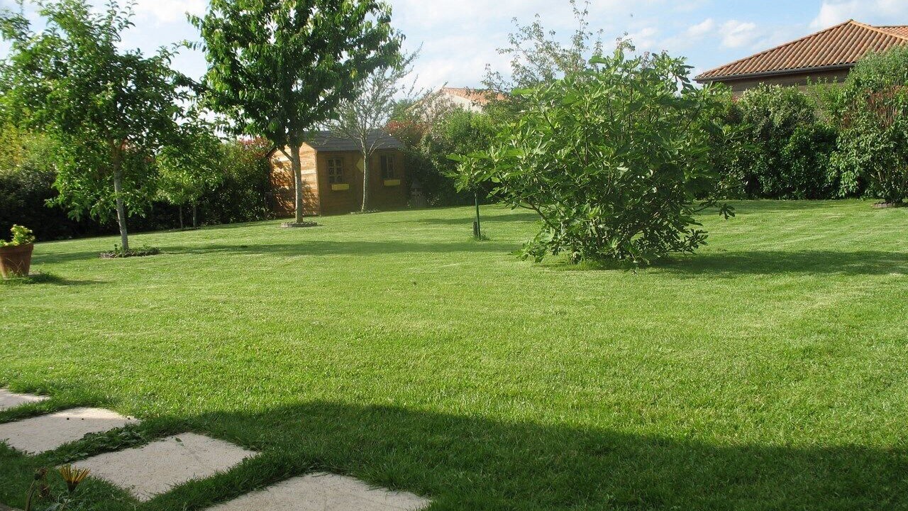 Photo of Outdoor in Saint-Georges-les-Baillargeaux