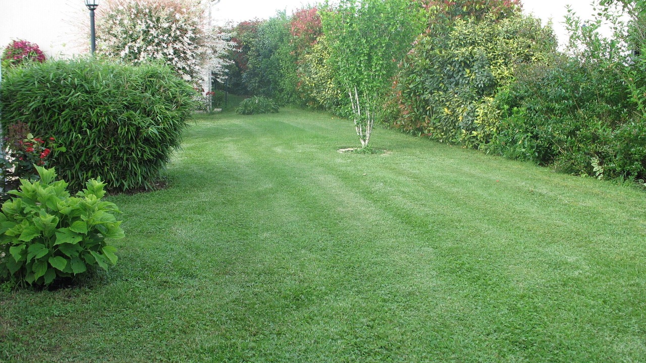 Photo of Outdoor in Saint-Georges-les-Baillargeaux