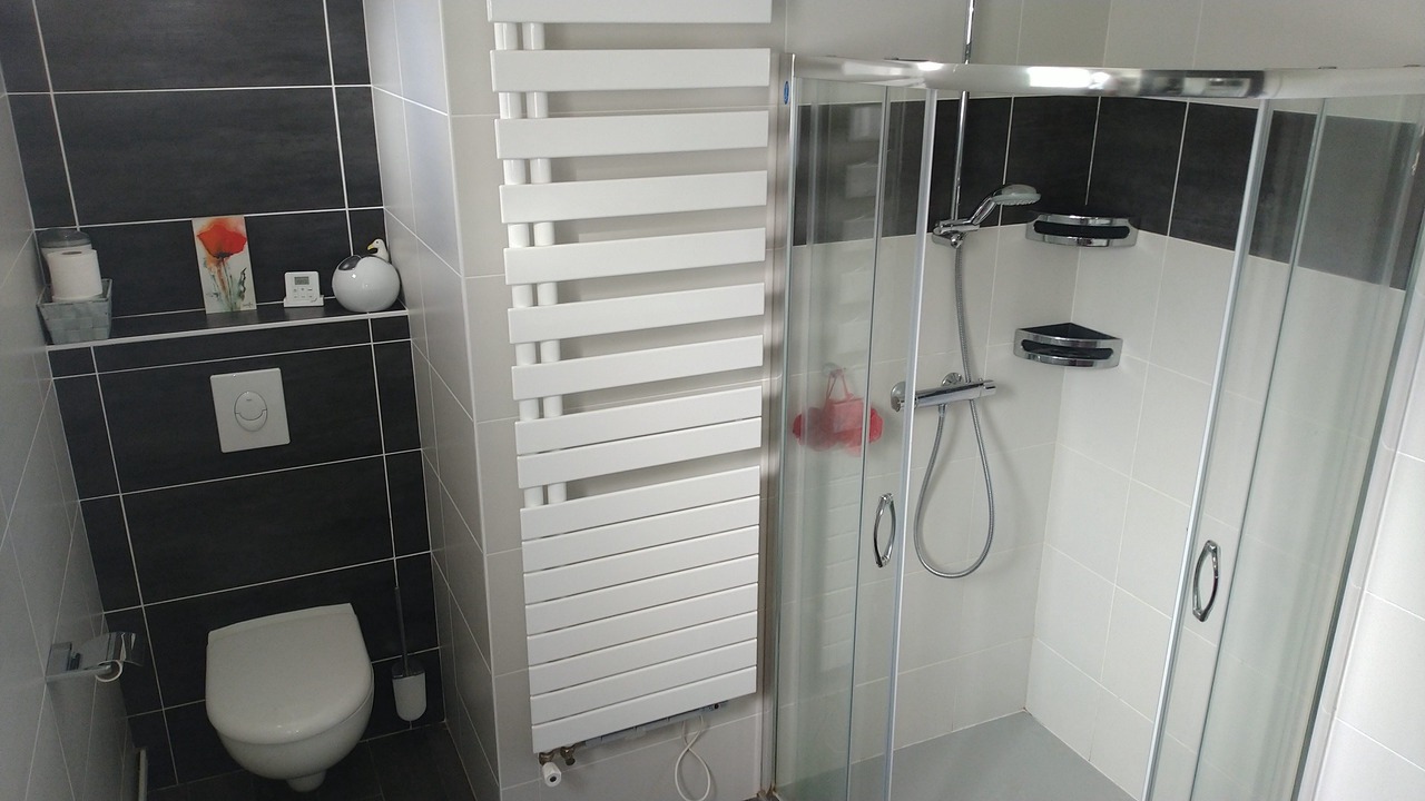 Photo of Bathroom in Mauze-sur-le-Mignon