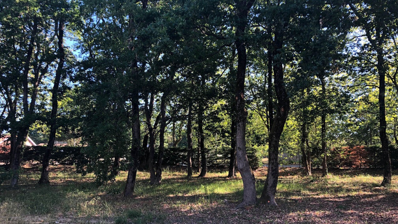 Photo of Outdoor in Soulac-sur-Mer
