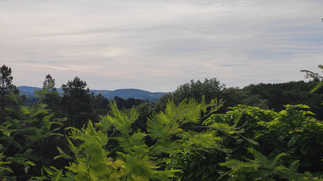 Photo of Outdoor in Proissans