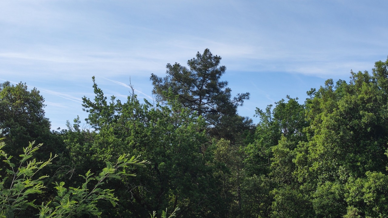 Photo of Outdoor in Proissans