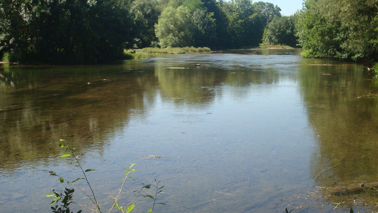 Photo of Outdoor in Jaunay-Clan