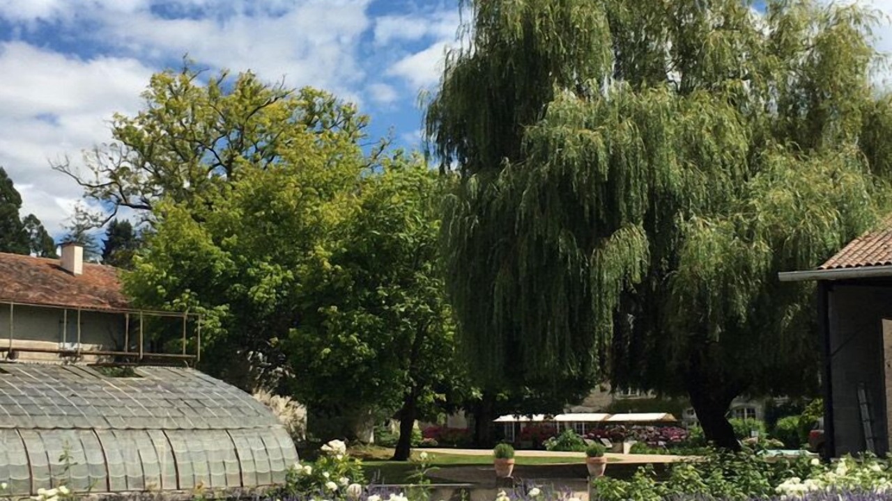 Photo of Outdoor in Petit-Bersac