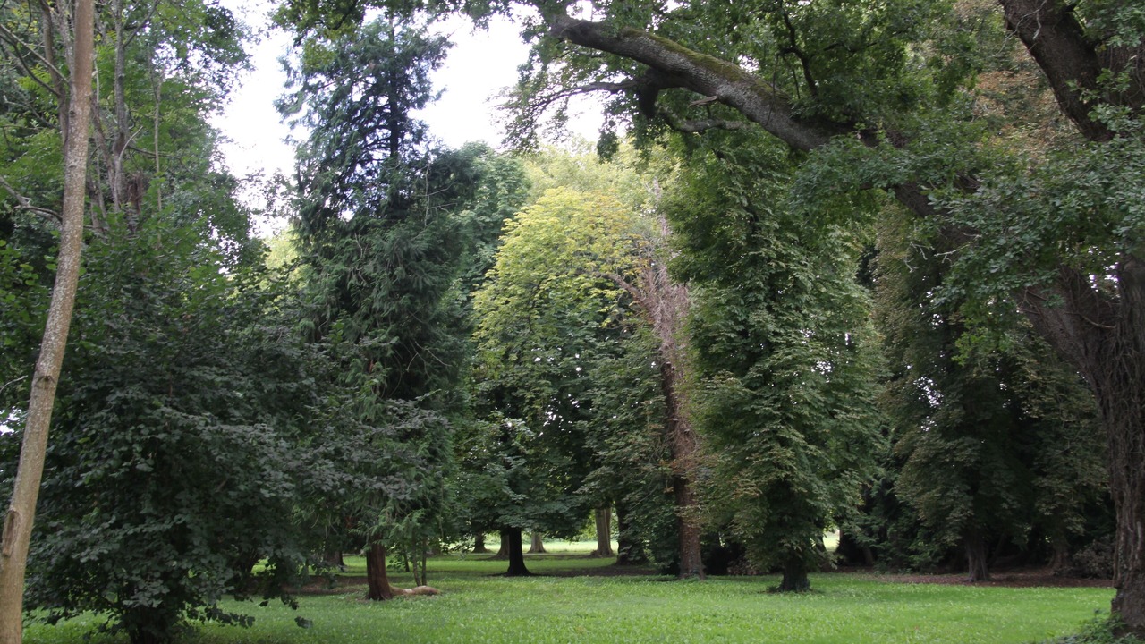 Photo of Outdoor in Petit-Bersac