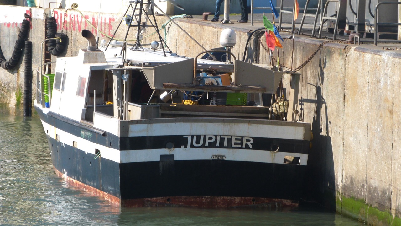 Photo of Others in Saint-Pierre-d'Oleron
