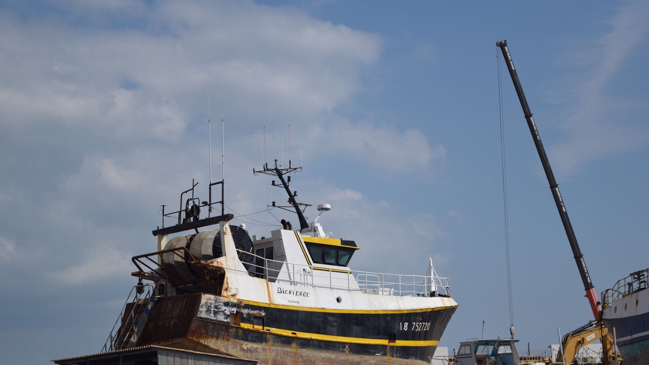 Photo of Outdoor in Saint-Pierre-d'Oleron