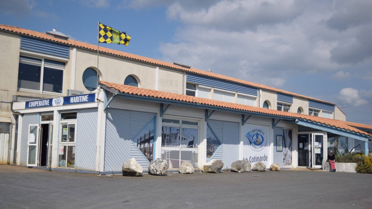 Photo of Outdoor in Saint-Pierre-d'Oleron