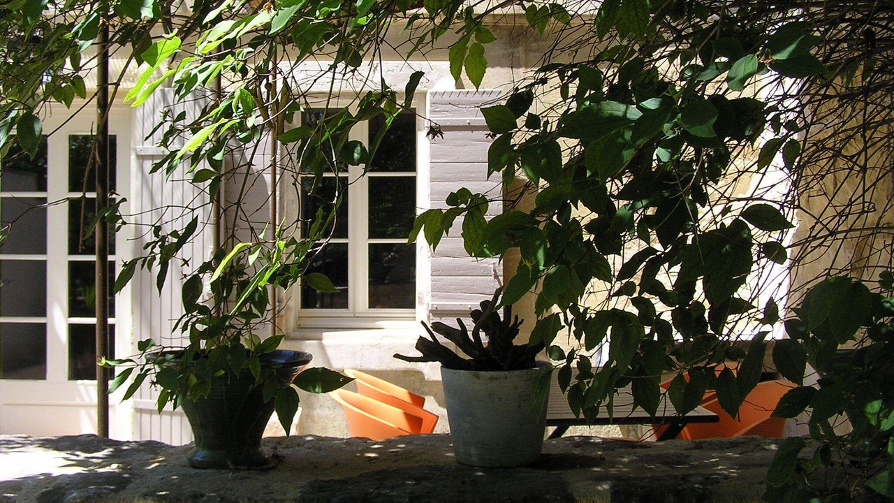 Photo of Outdoor in Fontvieille
