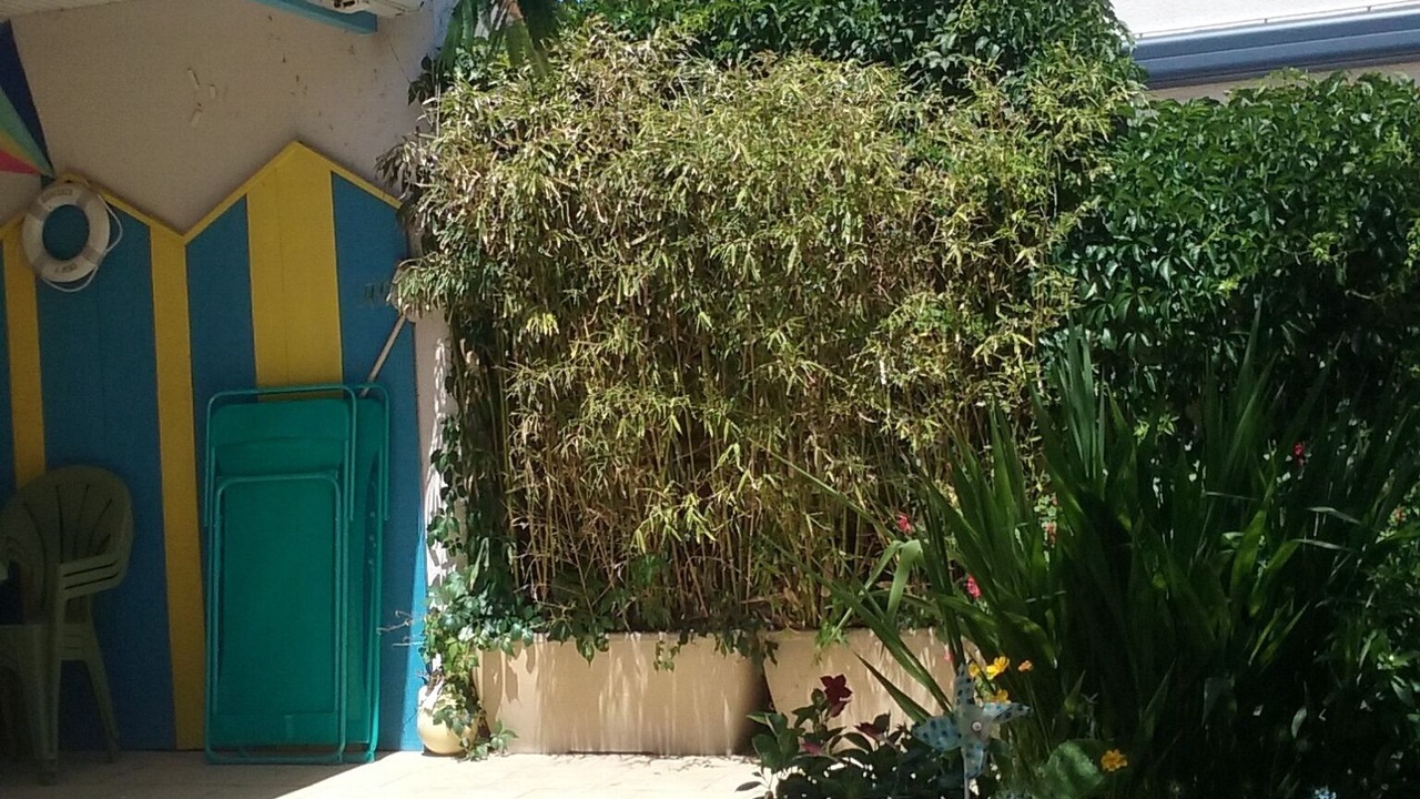 Photo of Outdoor in La Cotiniere
