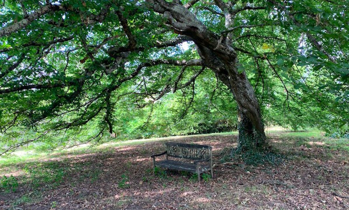 Photo of Outdoor in Bergerac