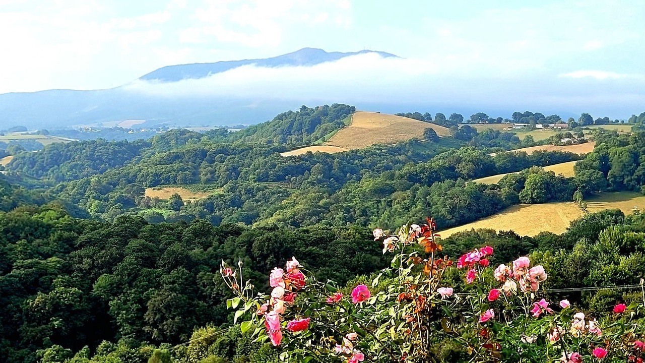 Photo of Outdoor in Hasparren