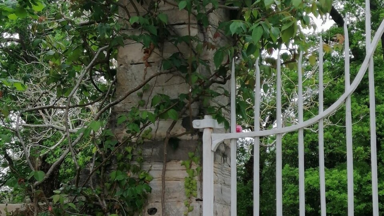 Photo of Outdoor in Port-de-Lanne