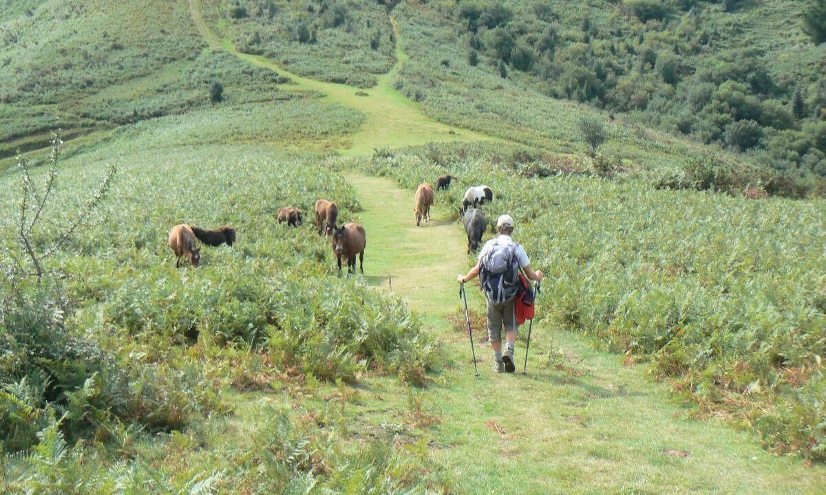 Photo of Others in Urrugne