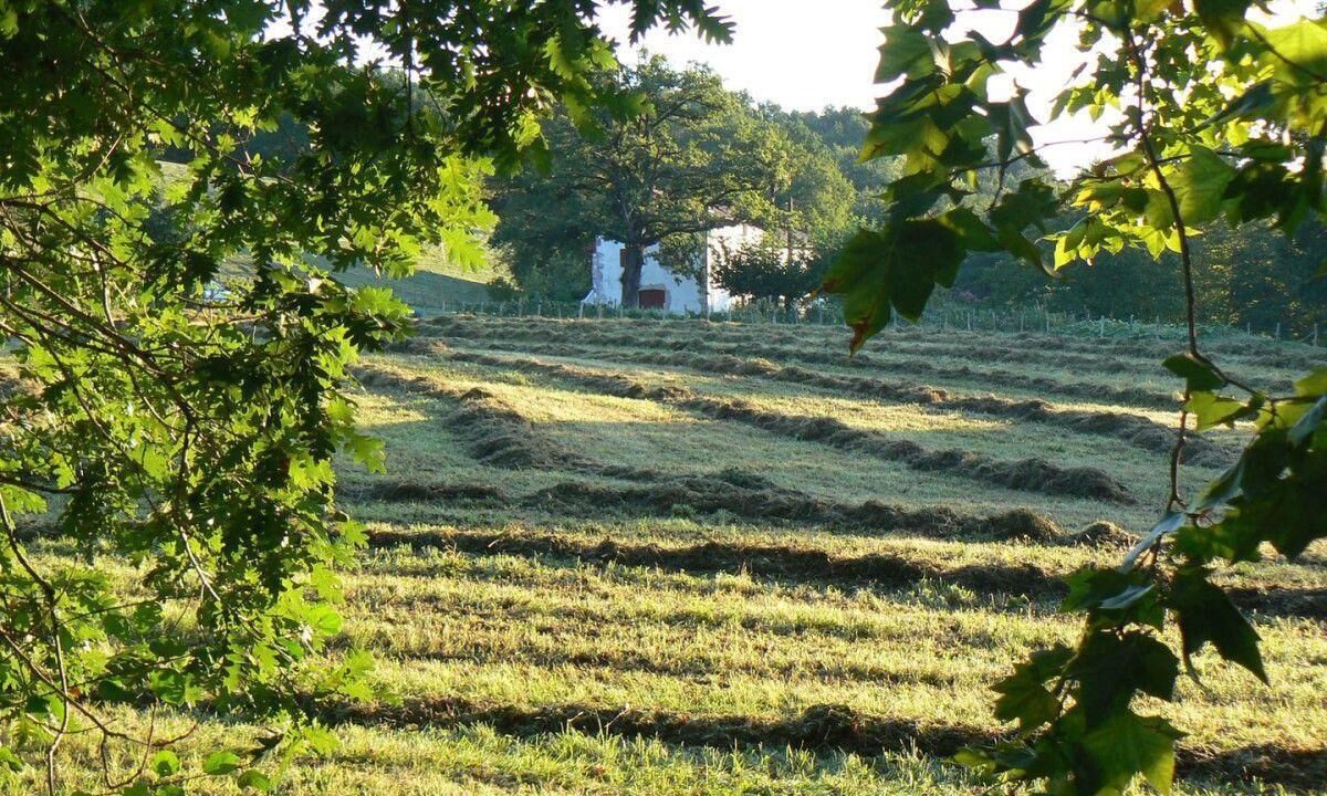 Photo of Others in Urrugne