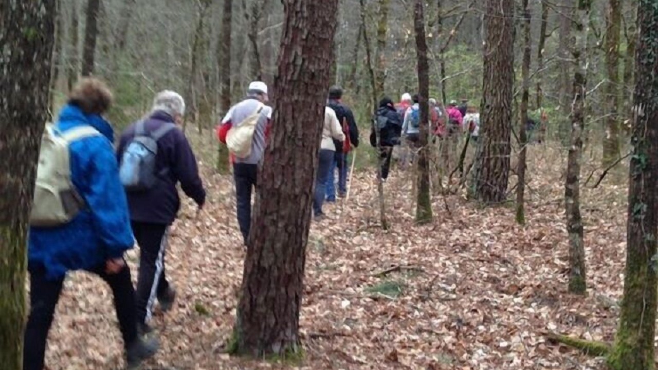 Photo of Others in Saint-Germain-et-Mons