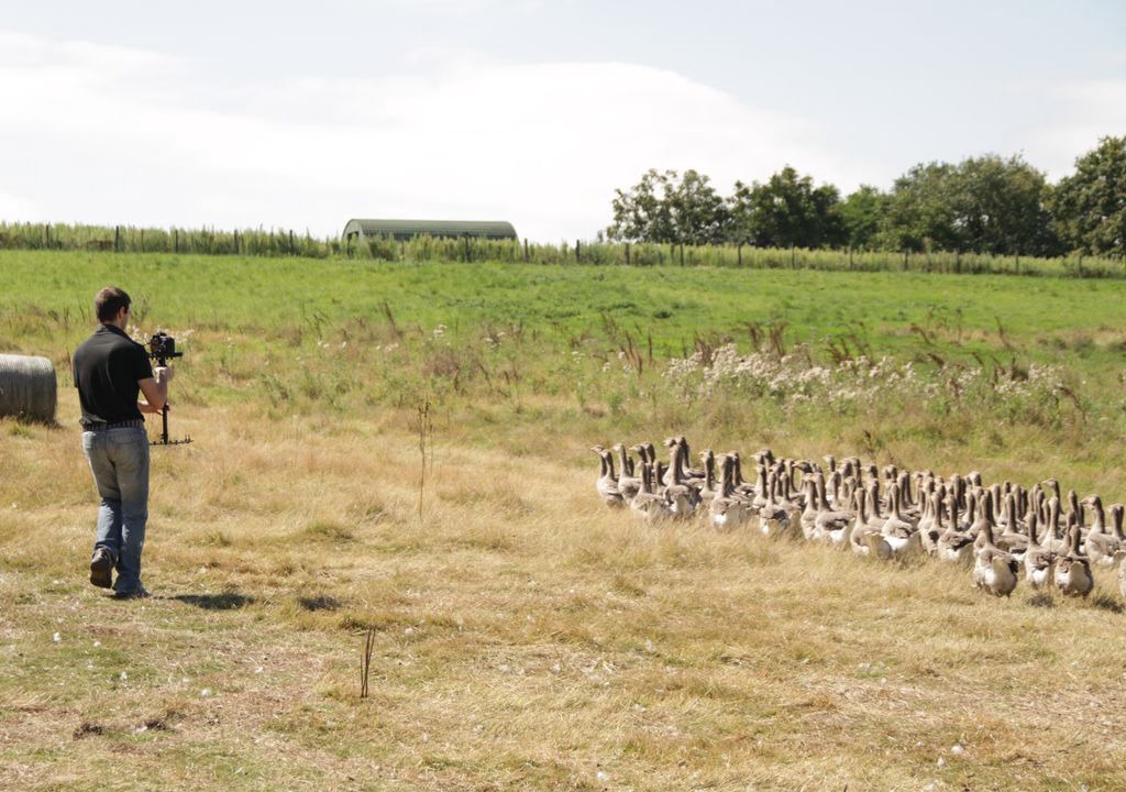 Photo of Others in Cours-de-Pile