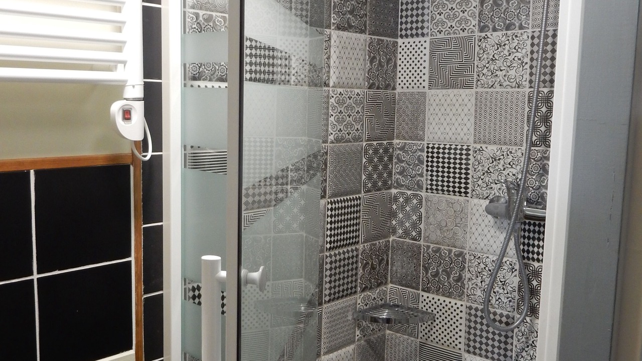 Photo of Bathroom in Bassins a Flot