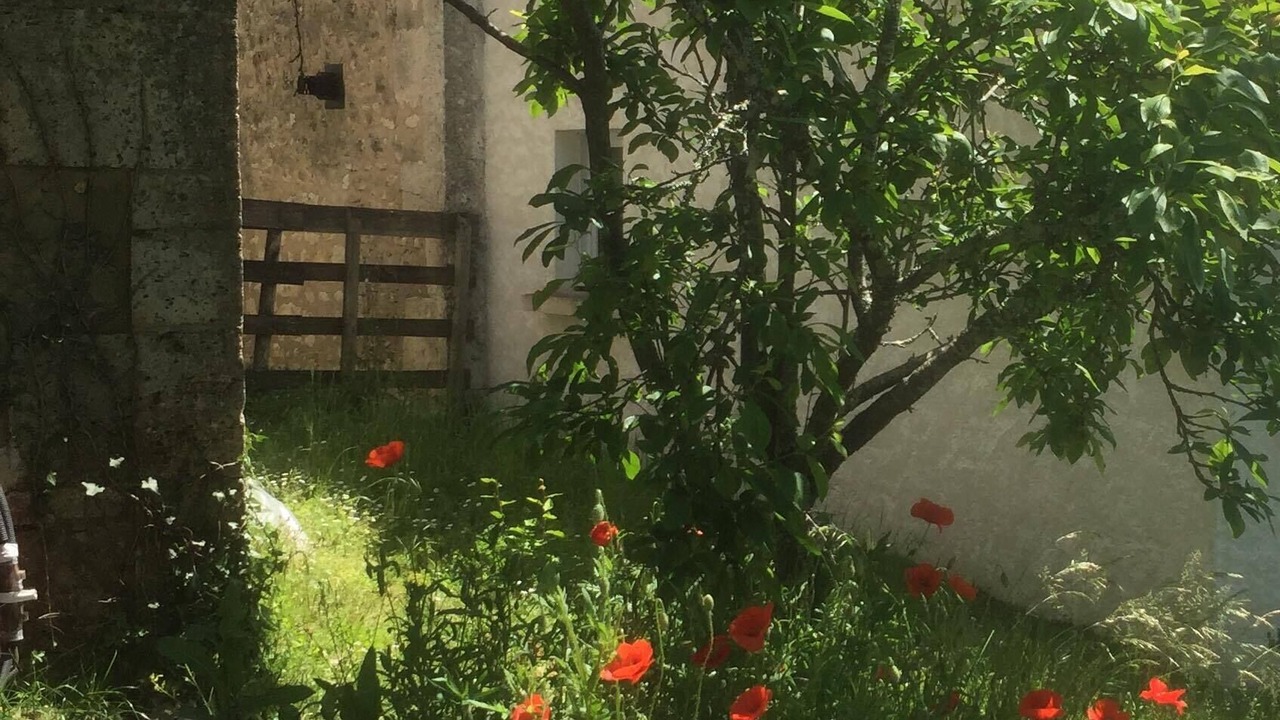 Photo of Outdoor in Torsac