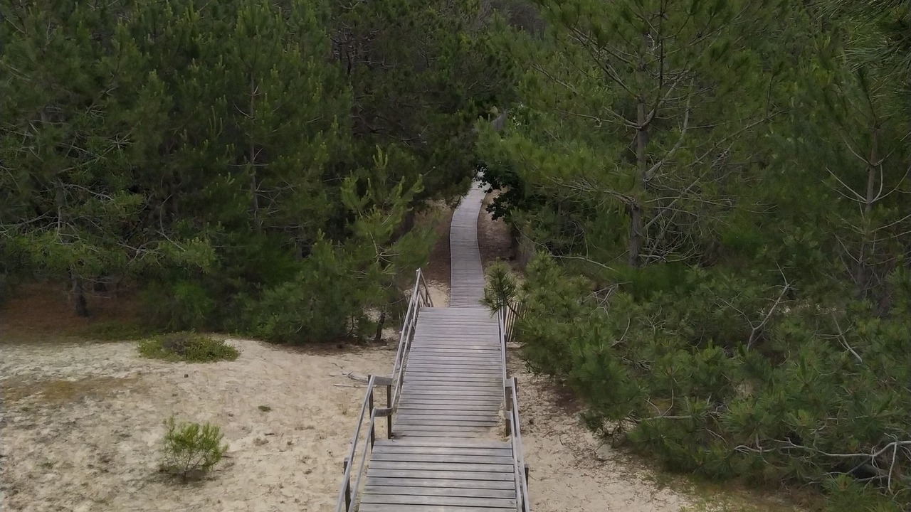 Photo of Outdoor in Mimizan-Plage