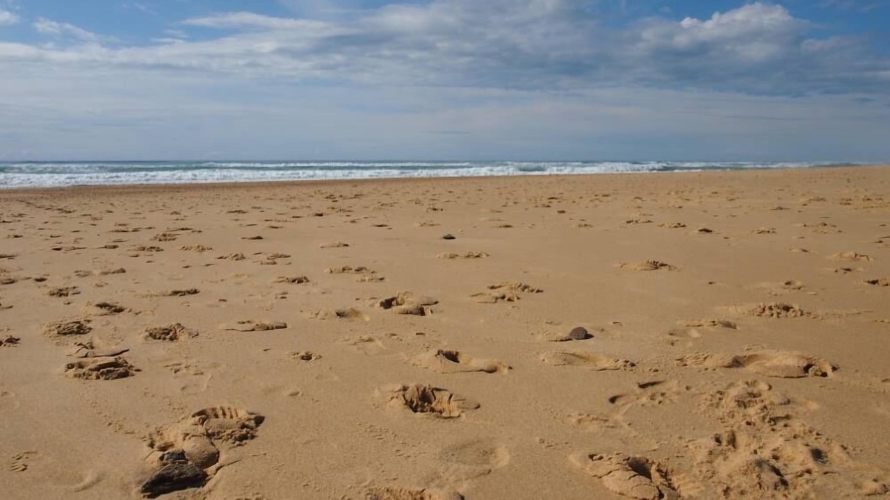 Photo of Others in Saint-Girons Plage