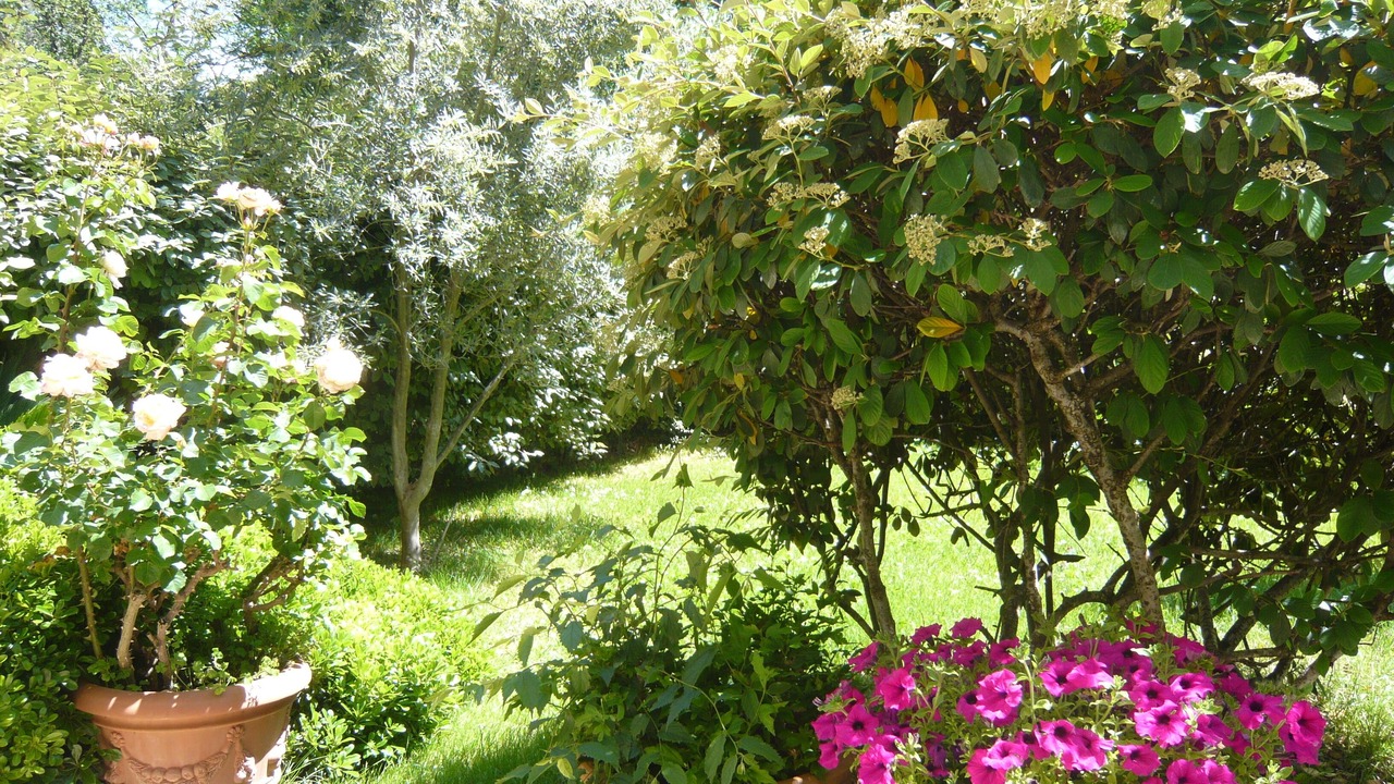 Photo of Outdoor in Est