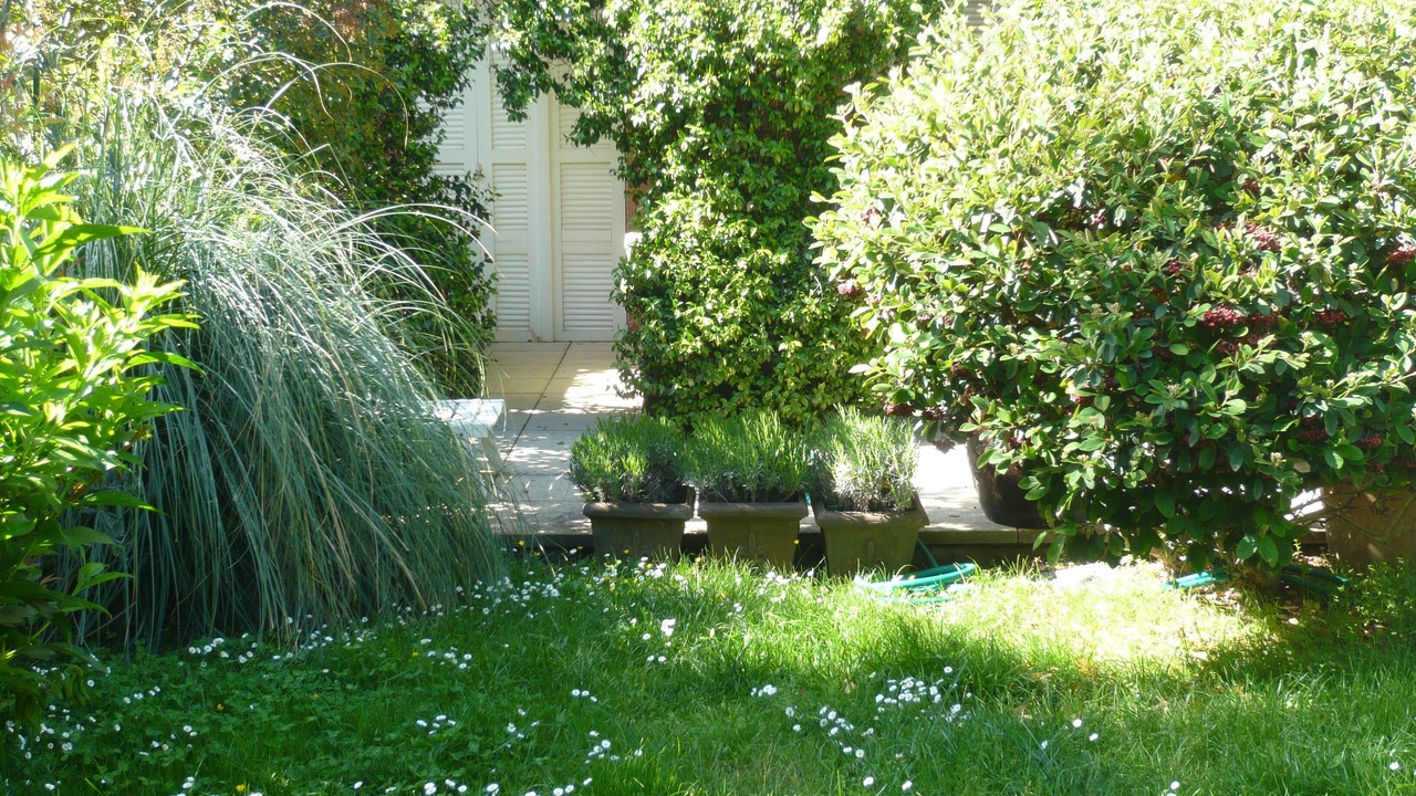 Photo of Outdoor in Est