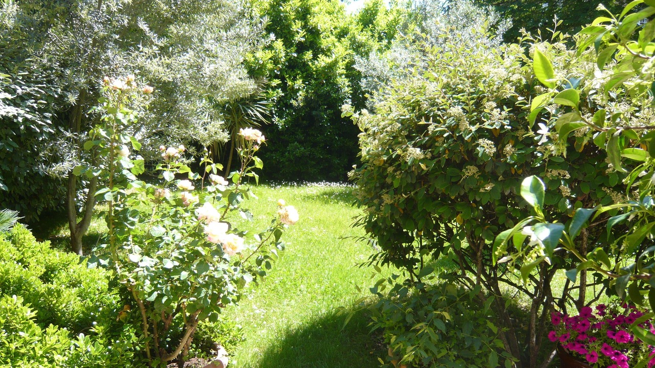 Photo of Outdoor in Est