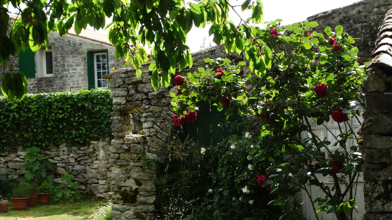 Photo of Outdoor in Arceau