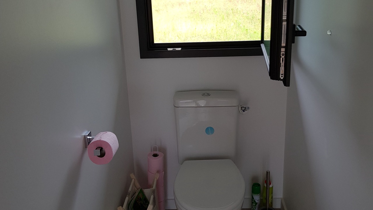 Photo of Bathroom in Angresse