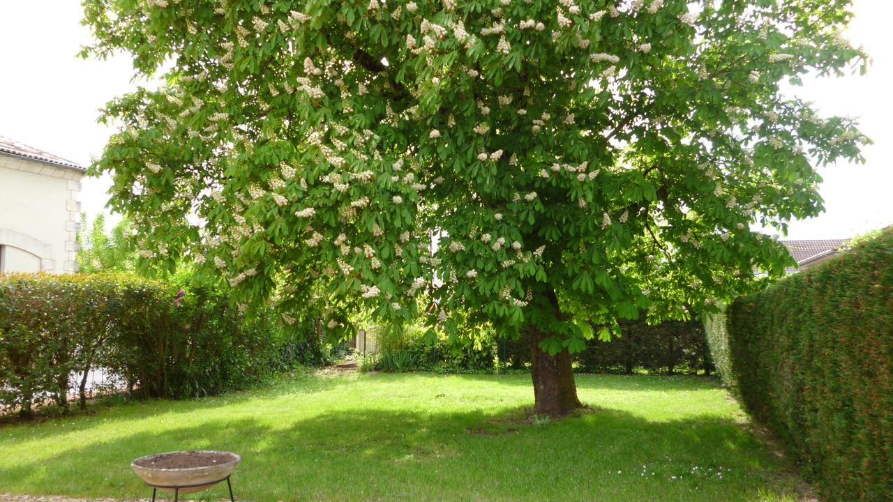 Photo of Outdoor in Le Pizou