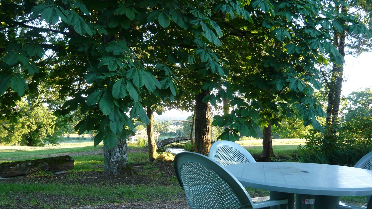 Photo of Outdoor in Boisse