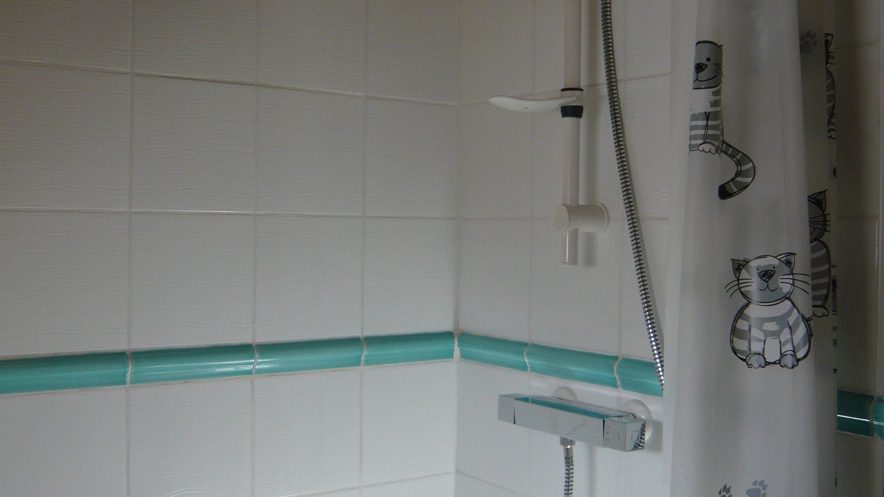 Photo of Bathroom in Boisse