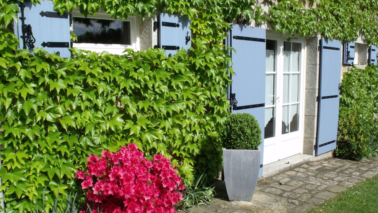 Photo of Outdoor in Jouillat
