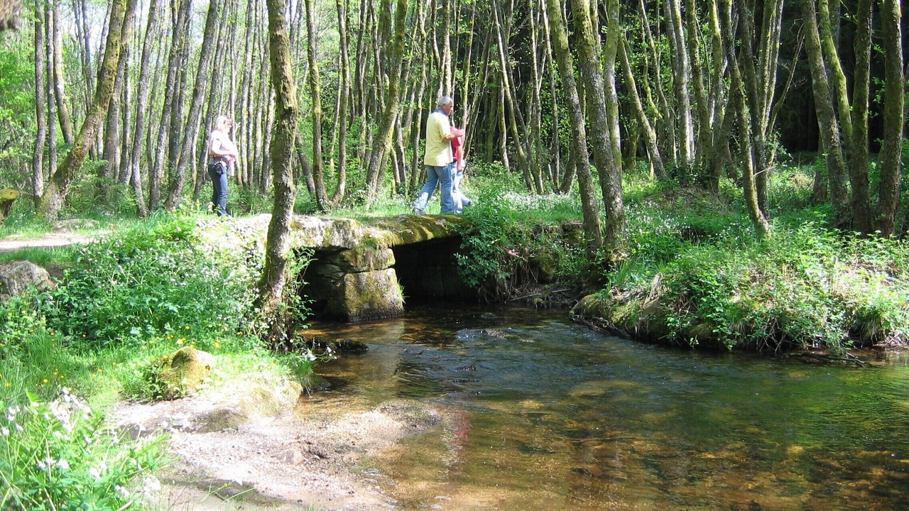 Photo of Others in Jouillat