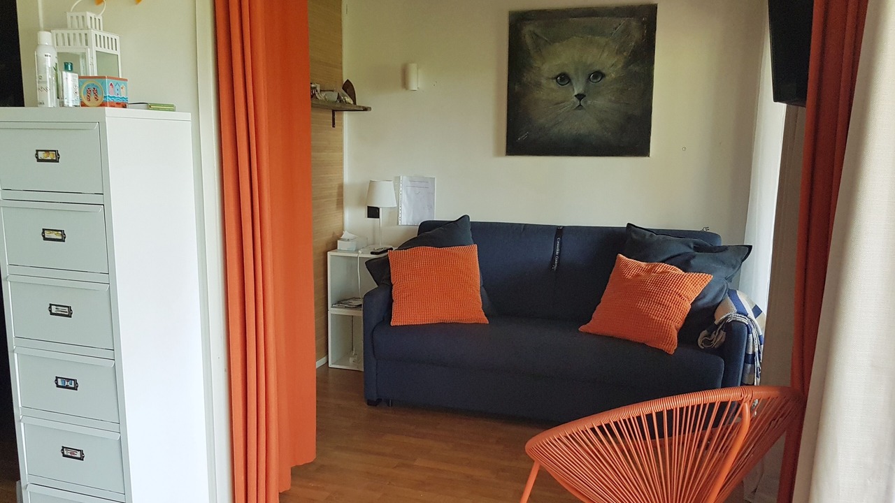 Photo of Livingroom in Leon