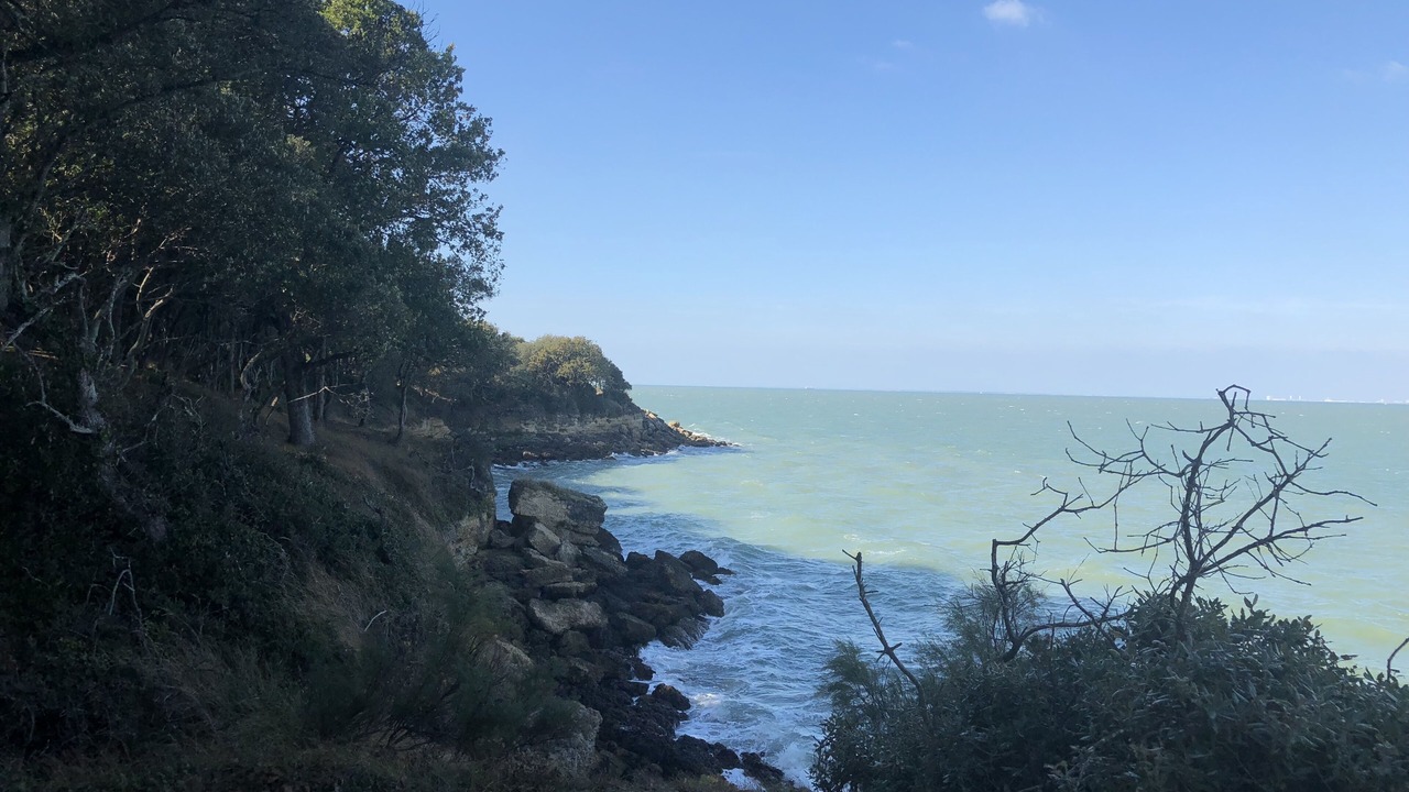 Photo of Others in Saint-Denis-d'Oleron