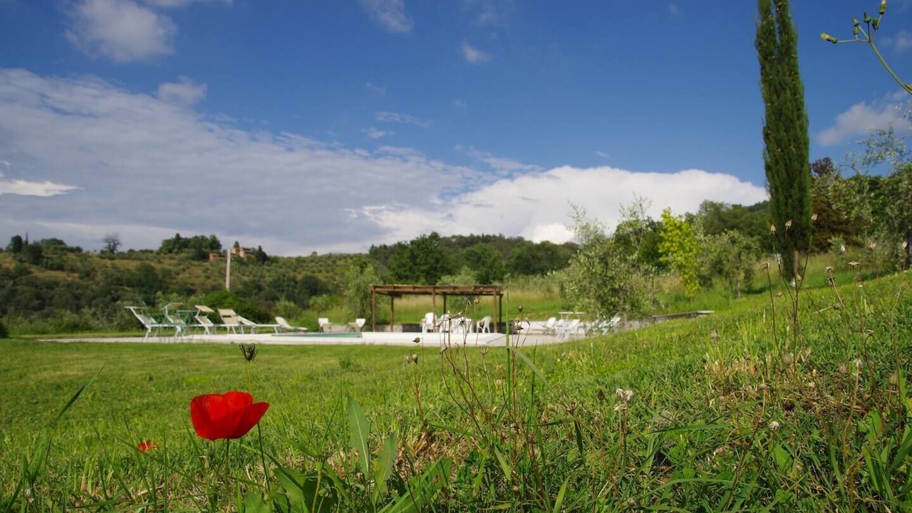 Photo of Outdoor in Greve in Chianti
