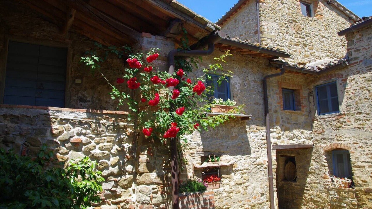 Photo of Outdoor in Greve in Chianti